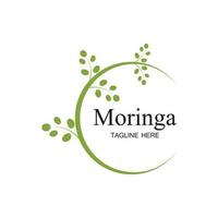 disegno vettoriale dell'illustrazione del logo della foglia di moringa