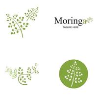 disegno vettoriale dell'illustrazione del logo della foglia di moringa