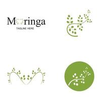 disegno vettoriale dell'illustrazione del logo della foglia di moringa