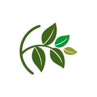 Logo vettoriale di multi foglie verdi