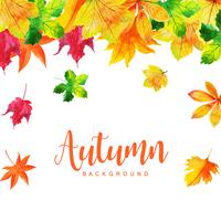 Belle foglie verdi di autunno e dell&#39;acquerello Autumn Background vettore