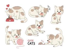 set di simpatici gatti in varie azioni