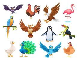 set di diversi uccelli in stile cartone animato vettore