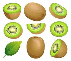 set di kiwi intero, metà e illustrazione fetta tagliata isolata su sfondo bianco vettore