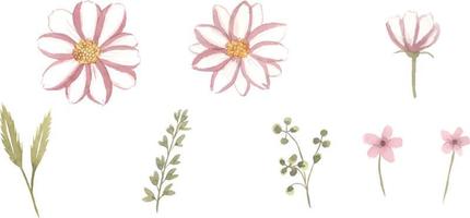 set di foglie e fiori disegnati a mano floreali selvatici dell'acquerello con la raccolta isolata degli elementi del mazzo vettore