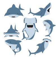 Set di squalo bianco e squalo martello vettore