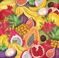 cornice di frutti tropicali. cucina vegana con avocado vettoriale disegnato a mano, frutta del drago, papaia, ananas, banana, melograno, mangostano, fico, frutta biologica o cibo vegetariano.