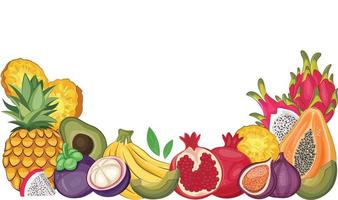 cornice di frutti tropicali. cucina vegana con avocado vettoriale disegnato a mano, frutta del drago, papaia, ananas, banana, melograno, mangostano, fico, frutta biologica o cibo vegetariano.