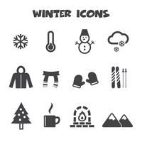 simbolo delle icone di inverno vettore