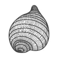 conchiglie disegnate a mano. guscio solido a spirale vuota di una vongola o di una lumaca. stile schizzo, disegno inciso. illustrazione in bianco e nero isolata su uno sfondo bianco. vettore
