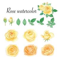 set di elementi ad acquerello rosa. fiore, foglie, germoglio, botanico isolato su sfondo bianco. illustrazione vettoriale disegnata a mano.