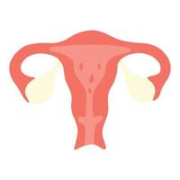 l'utero femminile nella sezione. concetto di mestruazioni. illustrazione vettoriale. vettore