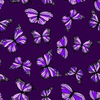 farfalle viola senza soluzione di continuità vettore