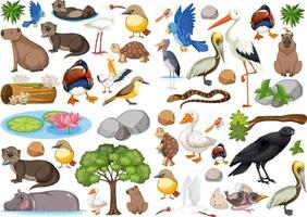 diversi tipi di raccolta di animali selvatici