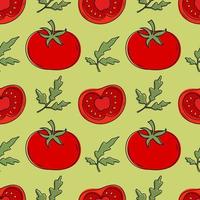 modello vettoriale di un insieme di pomodori. elementi di design per menu, pubblicità e copertine, libri per bambini, cibo e illustrazioni di cibo. vettore di verdure e fogliame. illustrazione del cibo.