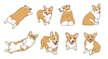 raccolta dell'illustrazione del cane del corgi del fumetto vettore