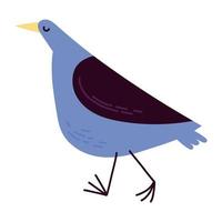 illustrazione di uccello o piccione vettore