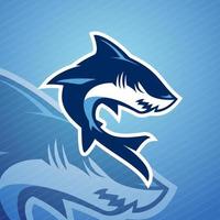illustrazione vettoriale della mascotte sportiva dello squalo blu