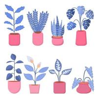 collezione di piante da appartamento tonalità blu