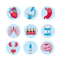 set di icone di consulenza medica, trattamento, diagnosi e malattia vettore