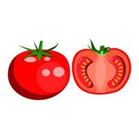 un pomodoro, un pomodoro tondo rosso e mezzo pomodoro snocciolato vettore