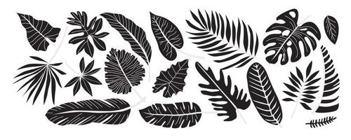 set di piante tropicali sagome nere. foglie di monstera e giungla di palma, fogliame esotico, pianta naturale decorativa. illustrazione piatta disegnata a mano vettore