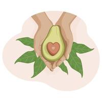 illustrazione disegnata a mano di avocado vettore