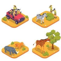 set di icone isometriche colorate safari vettore