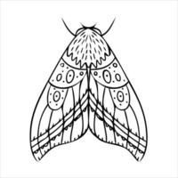 farfalla notturna, falena. illustrazione disegnata a mano. sfondo bianco e nero. vettore