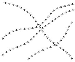 sentiero dell'impronta di coniglio o lepre. impronte di coniglietti sulla neve. passi di zampa di coniglio. pista di passi di lepre. illustrazione vettoriale isolato su sfondo bianco in stile piatto