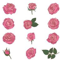Set di rose disegnate a mano d&#39;epoca vettore