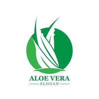 pianta verde aloe vera logo vettore icona simbolo molti vantaggi