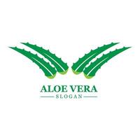 pianta verde aloe vera logo vettore icona simbolo molti vantaggi