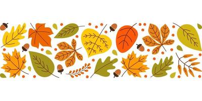 sfondo autunnale con foglie stagionali colorate, bacche, ghiande su sfondo bianco. striscia larga orizzontale luminosa. illustrazione vettoriale
