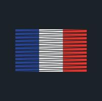 pennello bandiera francia. bandiera nazionale vettore