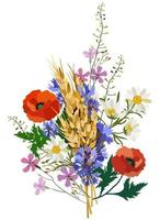 illustrazione vettoriale isolata di fiori selvatici e spighette di grano.