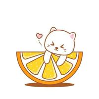 simpatico gatto con frutta mezza arancia vettore