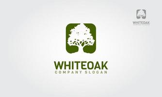 illustrazione del logo vettoriale della quercia bianca. una semplice silhouette di un albero di quercia bianca su sfondo verde. segno vettoriale moderno. concetto di design del logo dell'illustrazione di qualità premium.