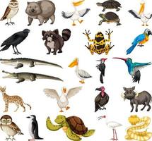 diversi tipi di collezione di animali vettore