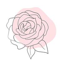 linea nera illustrazione grafica fiore rosa con macchie di colori vettore