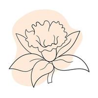 linea nera illustrazione grafica fiore daffodil con macchie di colori