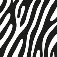 strisce nere sulla pelle di una zebra per decorazioni grafiche vettore