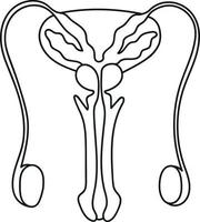 sistema riproduttivo maschile in organi in stile doodle umani vettore