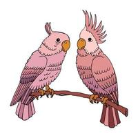 illustrazione, uccelli pappagallo colorati dipinti in tonalità beige e rosa su un ramo di albero. un paio di pappagalli. stampa, tessile, decoro per lino pastello. vettore