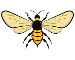 modelli di disegno di arte di vettore di logo dell'ape del miele