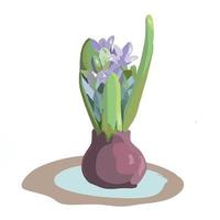 illustrazione vettoriale di fiori di geocinth in fiore