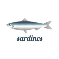sardine pesce isolato illustrazione vettoriale
