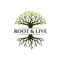 design del logo dell'albero della radice. sagoma vettoriale di un albero.