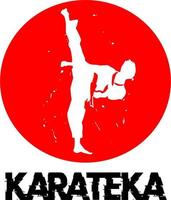 vettore del logo del calcio di karate