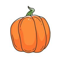 zucca arancione comune in semplice stile doodle cartone animato. illustrazione vettoriale. vettore